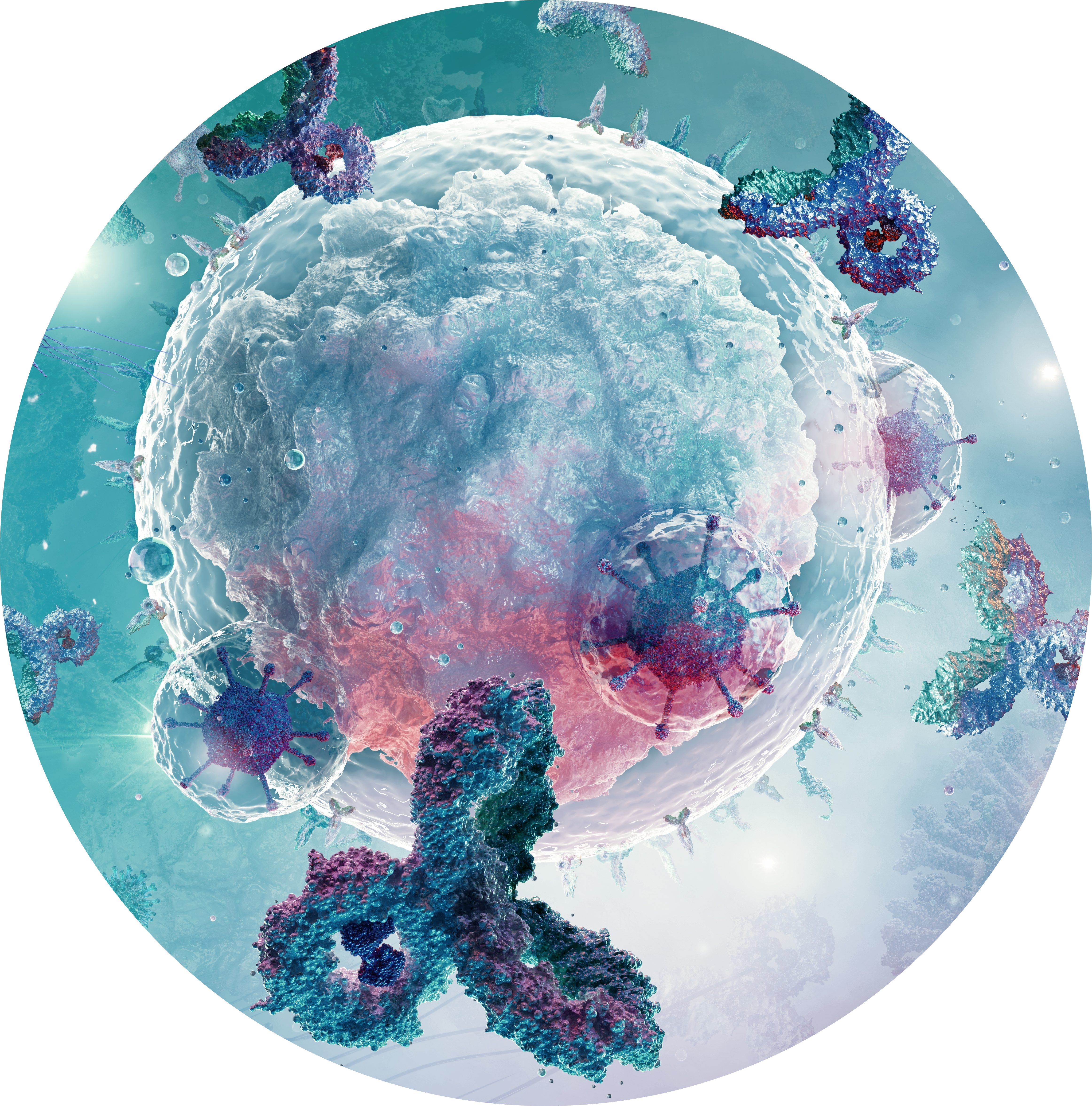 Interleuchine Salivari