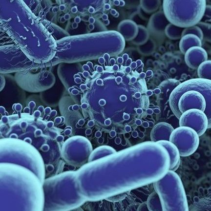 GUT SCREENING CONTROL