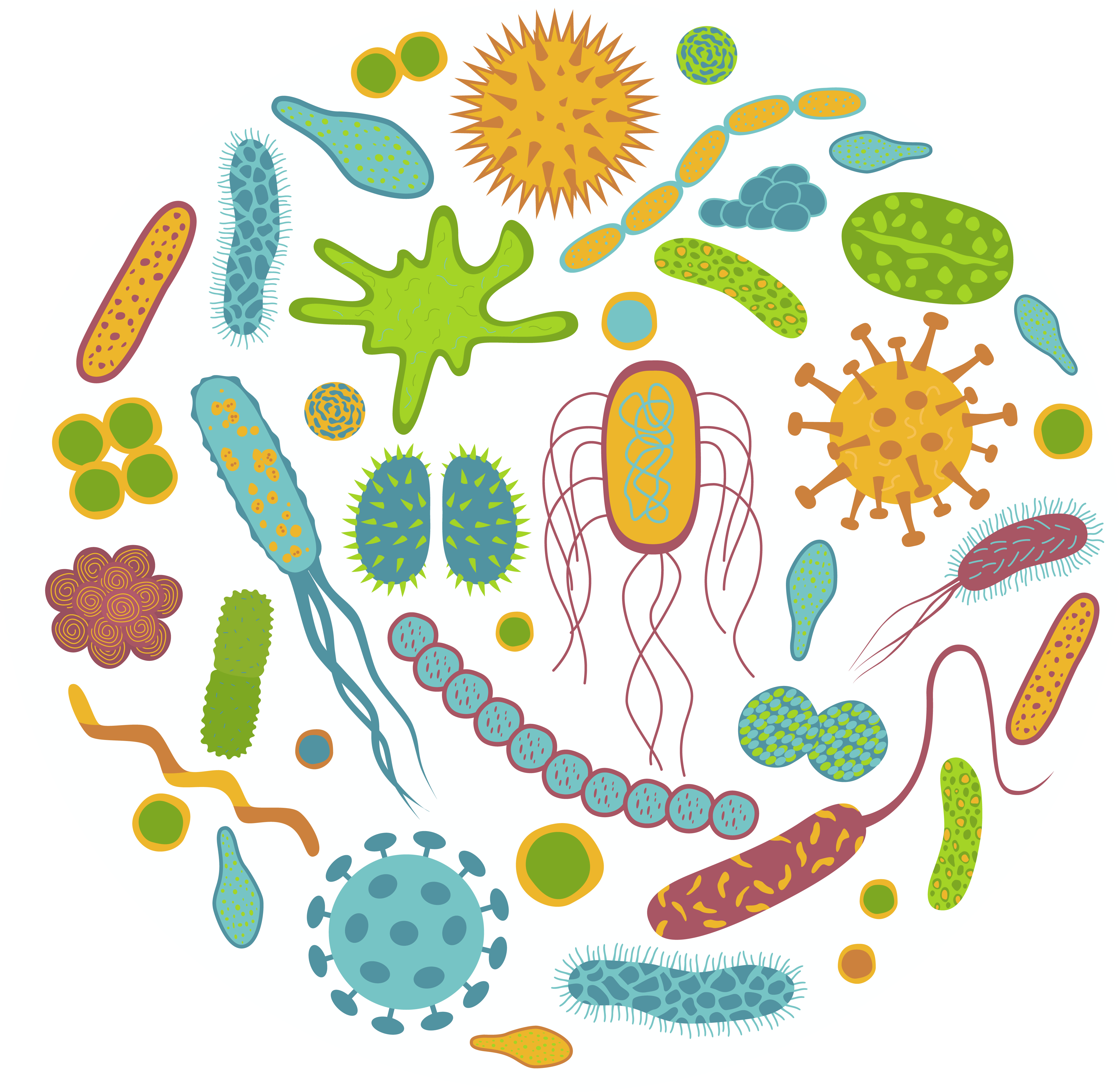Microbiota Intestinale  Gut Screening