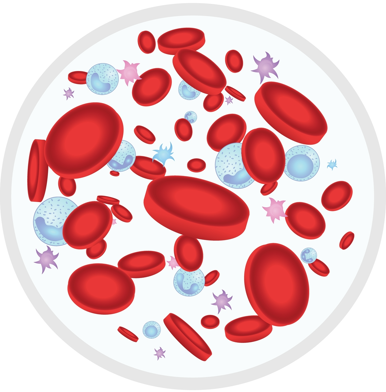 Microscopia in campo oscuro