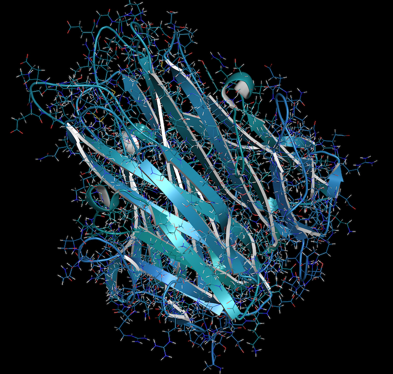 TEST SULLE INTERLEUCHINE SALIVARI